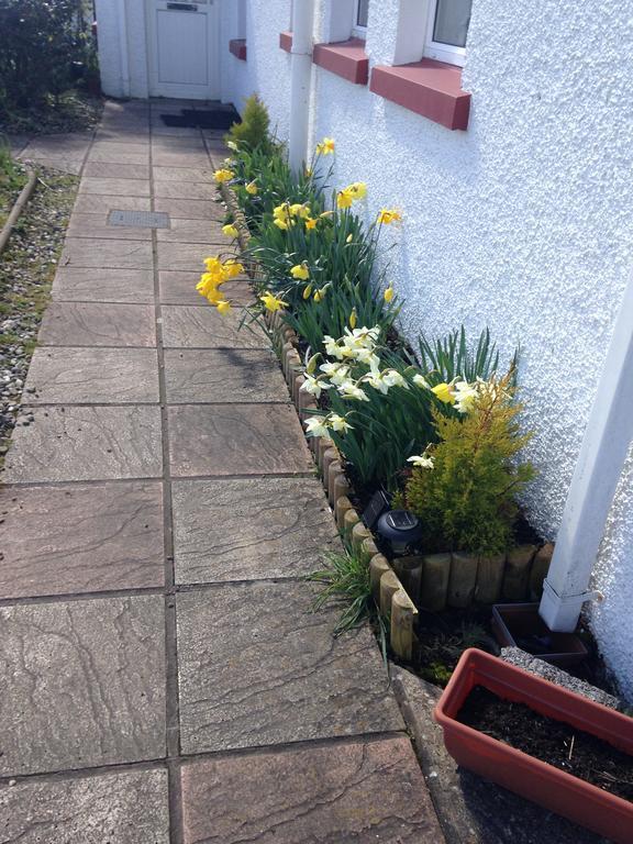 Finn Mccools Giants Causeway Hostel Bushmills Exterior photo